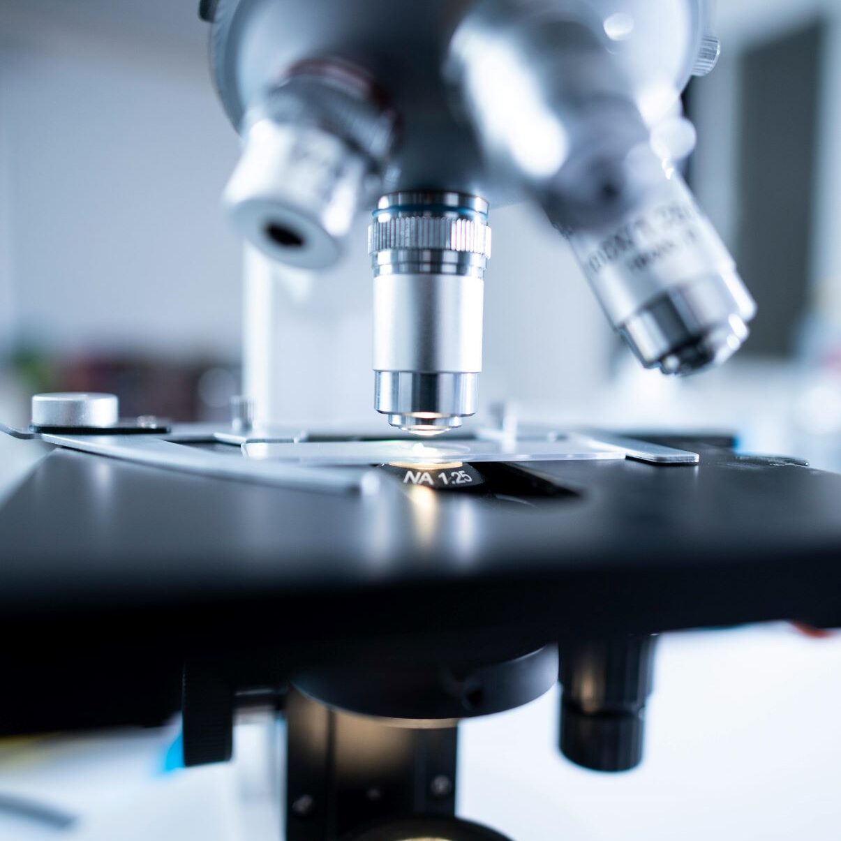 Stem Cell Transplant For Hair