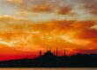 Medical consultant istanbul